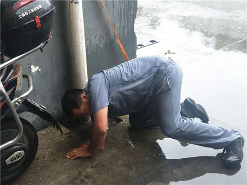 林永春3_副本.jpg 林永春3_副本.jpg