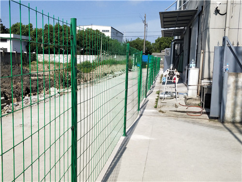 守護者5_副本.jpg 守護者5_副本.jpg