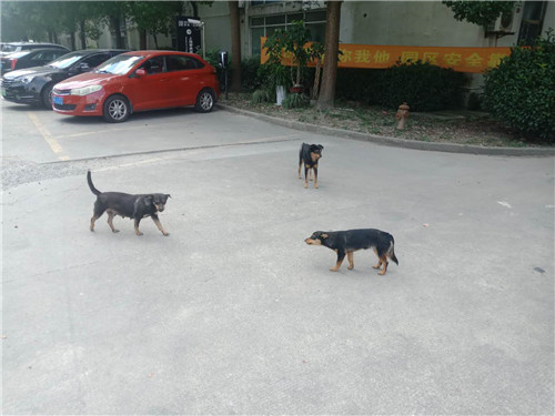 文霸園區(qū)2_副本.jpg 文霸園區(qū)2_副本.jpg