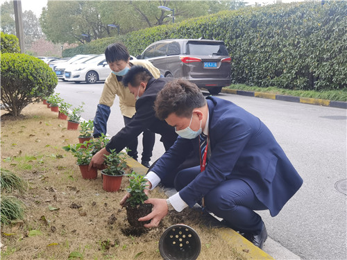 綠化種植2_副本.jpg 綠化種植2_副本.jpg