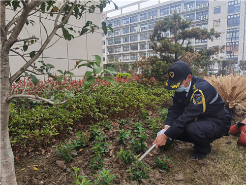 綠化種植8_副本.jpg 綠化種植8_副本.jpg