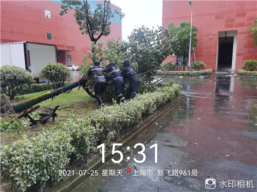 臺風(fēng)5_副本.jpg 臺風(fēng)5_副本.jpg