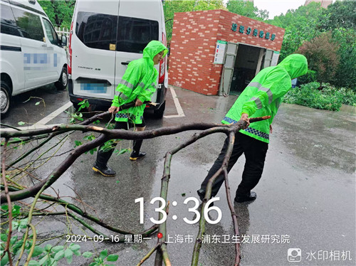 臺(tái)風(fēng)中 (4)_副本.jpg 臺(tái)風(fēng)中 (4)_副本.jpg