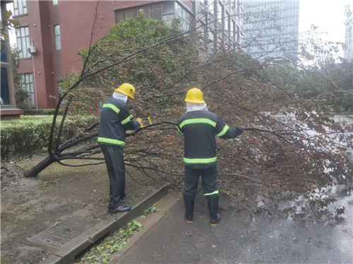 臺(tái)風(fēng)后 (6)_副本.jpg 臺(tái)風(fēng)后 (6)_副本.jpg
